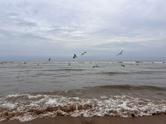 -老虎石海上公园