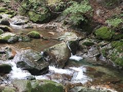 -本溪汤沟绿石谷森林公园