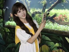 -海合安成都极地海洋公园