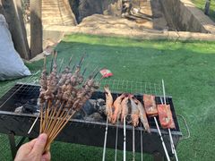 -尚庄度假村·庭台树下·户外烧烤·团建CS·轰趴营地(上庄水库店)