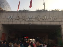 -陕西自然博物馆