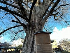 -医王山·飞騨国分寺