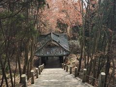 -窦圌山风景区