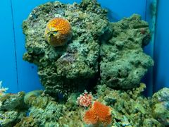 -泉州海丝野生动物世界