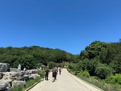 -北京西山国家森林公园