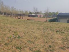 -莫子山公园