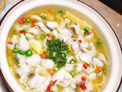 -青花椒花椒鱼(合生汇店)