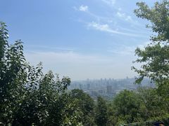 -大蜀山国家森林公园