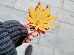 -好利来(旅顺世达店)