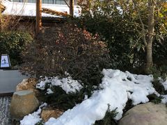 -溧阳天目湖天沐温泉