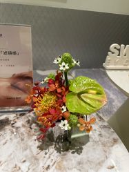 -明潪Selfology升维护理中心