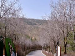 -青藏高原野生动物园