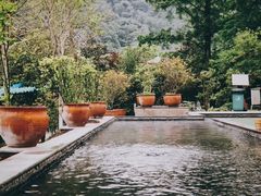 -中铁花水湾温泉酒店(大邑店)