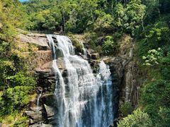 -海南热带雨林国家公园吊罗山景区