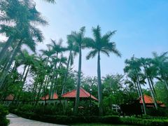 -Waterfall瀑布湾优健源(华侨城店)