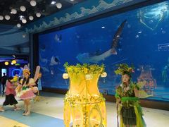 -烟台海昌鲸鲨海洋公园
