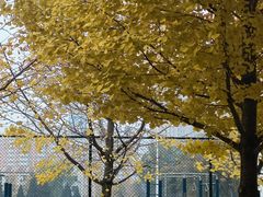 -东北大学(南湖校区)