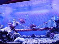 -太平洋海底世界