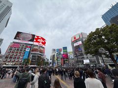 -涩谷全向十字路口