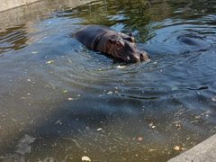 -哈尔滨北方森林动物园