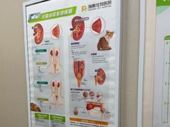 -瑞鹏宠物医院·普外科·影像科·皮肤科(城市山谷分院)