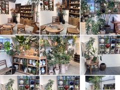 -自由生长植物工作室(深港花卉中心店)