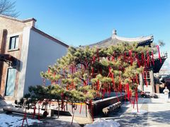 -嵩祝寺及智珠寺