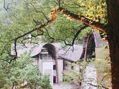 -巴倒烫陆派火锅山庄(南山总店)