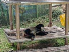 -栾川竹海野生动物园