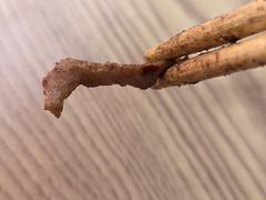 -小毛绝杀炒粉