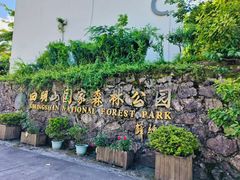-四明山国家森林公园