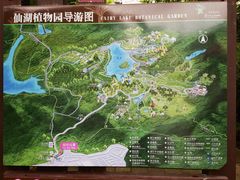 -深圳仙湖植物园