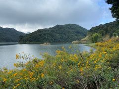 -广州市石门国家森林公园