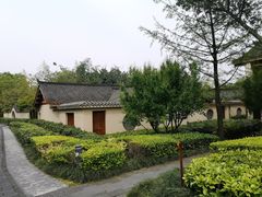 -青城山六善酒店·紫氣園中餐厅