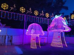-新五爱道夜市