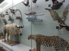 -国家自然博物馆