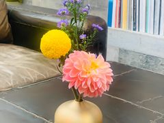 -北京古城老院厉晓麟精致菜