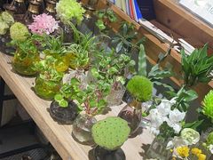 -弗劳尔花艺坊(龙涛店)