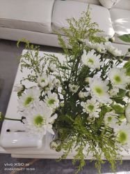 -HEYAN荷妍专业脱毛连锁机构