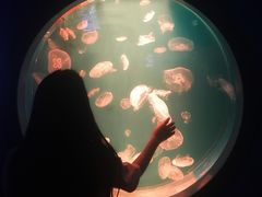 -多彩贵州城极地海洋世界