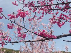 -苏州上方山国家森林公园