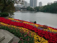-荔湾湖公园