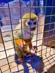 -酷嗒动物文化乐园(cutezoo西溪乐天城店)