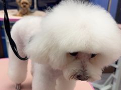 -FAELING PETS美天灵宠物(富力广场店)