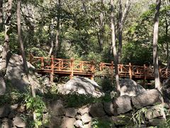 -大岭沟猕猴桃谷风景区