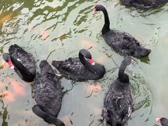 -鄱阳湖国家湿地公园