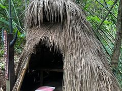 -西双版纳基诺山寨