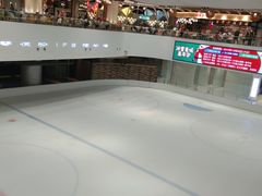 -TheRink大零溜冰场(IFS国金中心店)