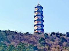 -北坞公园