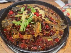 -老板恋上鱼(高新万达店)